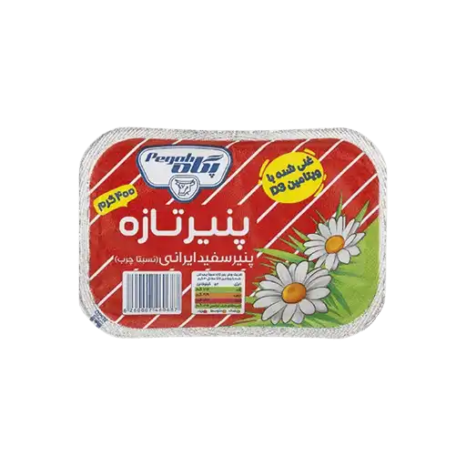 پنیر پگاه 400 گرم