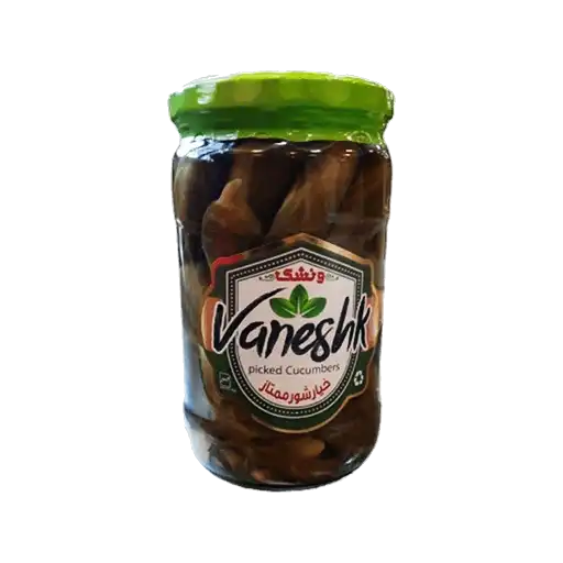 vaneshkmomtazz1
