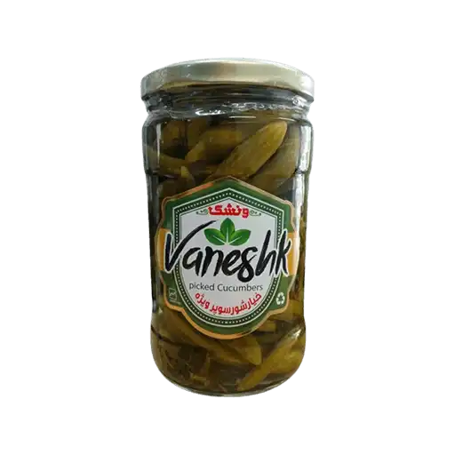 vaneshkvijehsop1